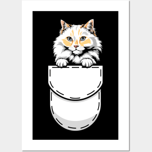 Funny Ragamuffin Pocket Cat Posters and Art